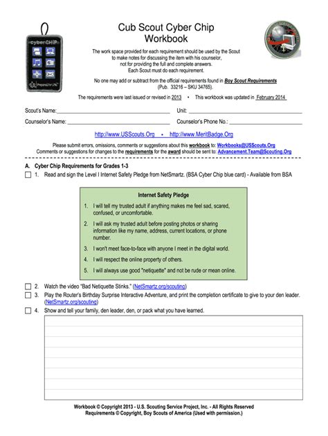 bsa cyber chip requirements|Boy Scouts of America .